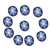GEMHUB Huge 9-15 Ct. Natural Blue Star Sapphire Round Shape 25 Gemstones Lot