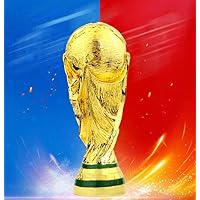  LNGODEHO 2022 World Cup Replica Trophy in Display Case, Sports  Collectibles Resin Sculpture, Own a World Soccer's Biggest Prize (8.3 inch)  : Sports & Outdoors