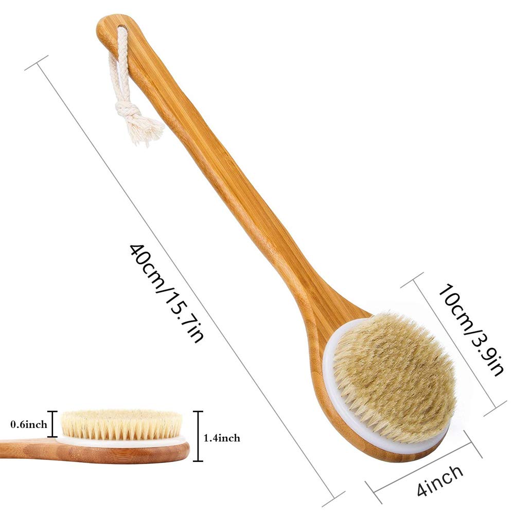 Shower Brush with Natural Bristle - Long Bamboo Handle Bath Body Brush for Wet or Dry Brushing - Improves Blood Circulation, Exfoliating Skin