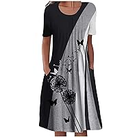 Womens Summer Pleated Front Color Block A-Line Dress Short Sleeve Crew Neck Casual Loose Tunic Swing Pockets Dress