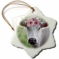 Photograph of a White charolais Cow with Watercolor Effect and... - Ornaments (ORN_328561_1)