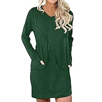 Wirziis Fall Womens Long Sleeve Tops, Fashion Solid Color Crewneck Tunic Blouses Ladies Casual Loose Fit Pocket Tee Shirts