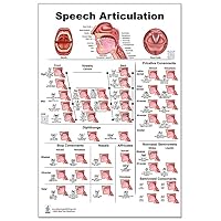 Speech Articulation QR Codes for two animations Anatomy Poster 24x36inch, Speech Language Pathology - Vowels-fricative Consonants-diphthongs