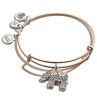 Alex and Ani Path of Symbols Expandable Bangle for Women, Elephant Charm, Two-Tone Finish, 2 to 3.5 in