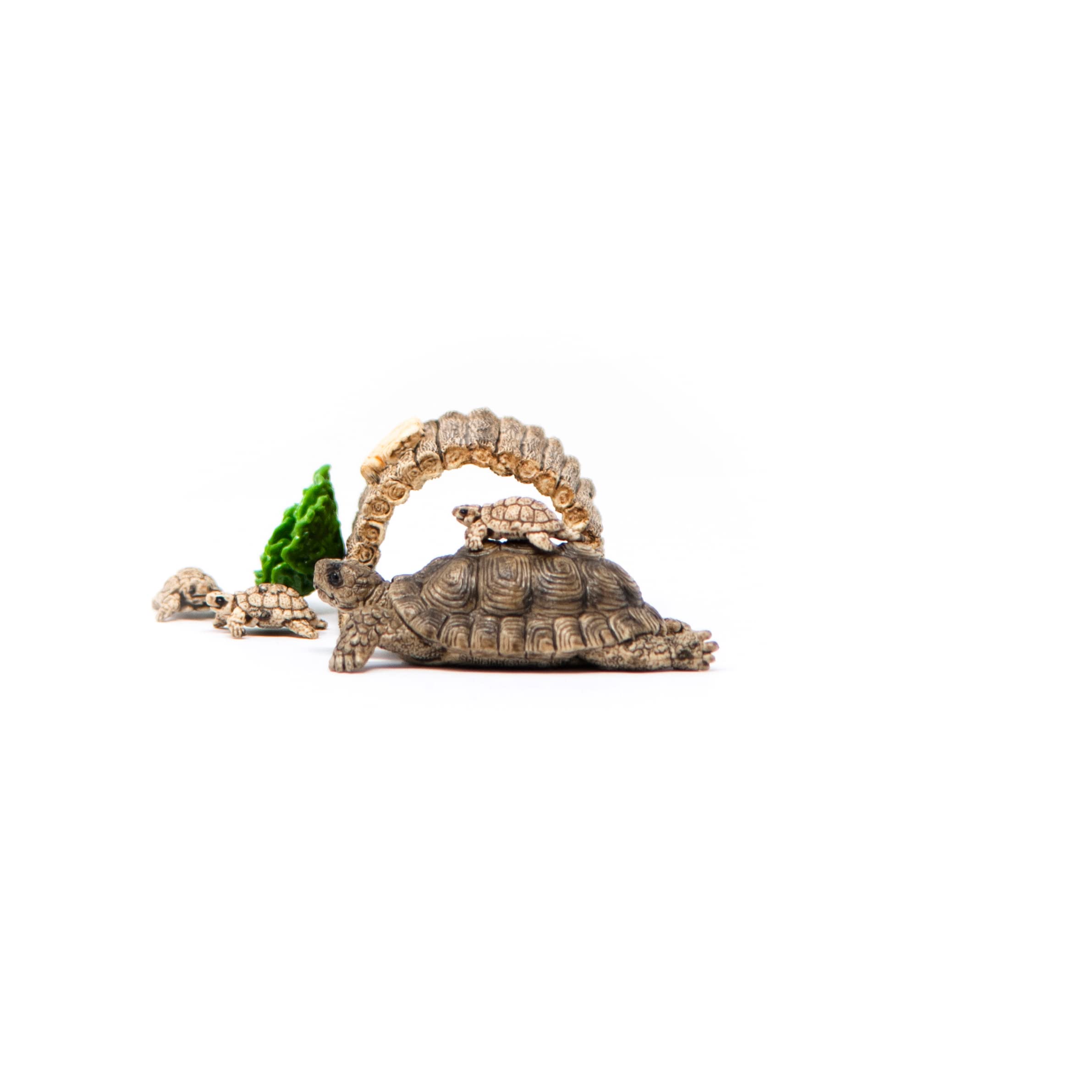 Schleich Wild Life 6-Piece Tortoise Toy Figure with Hatchlings and Turtle Home Playset for Kids Ages 3-8, Brown