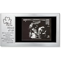 Cathedral Art Miracle of Life Shamrock Baby Frame (Abbey & CA Gift)