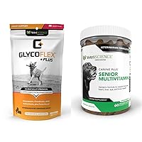 Glycoflex Plus Chondroitin Maximum Strength Hip & Joint Supplement & Canine Plus MultiVitamin for Senior Dogs - Vet Recommended Vitamin Supplement, 60 (Packaging May Vary)