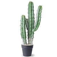 Artificial Cactus Fake Big Cactus 25 Inch Faux Cacti Plants for Home Garden Office Store Decoration