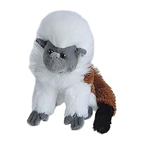 Cotton-Top Tamarin Plush, Stuffed Animal, Plush Toy, Gifts for Kids, Cuddlekins, 8 Inches