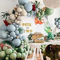 Dusty Blue Green White Sand Balloons Double Stuffed Balloon Garland Pastel Balloon Arch for Birthday Baby Shower Wild One Safari Pary Decoration