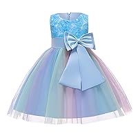 Little Girls Party Wedding Formal Dresses Evening Mesh Lace Dress Kids Pageant Flower Summer Clothes for
