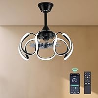 Black Caged Ceiling Fans with Lights and Remote, 20