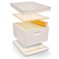 Mann Lake Complete Bee Hive Kit, Fully Assembled Beginner-Friendly Beekeeping Hive Starter Set with Hive Body & 10 Frames, Durable and Weather-Resistant, Painted
