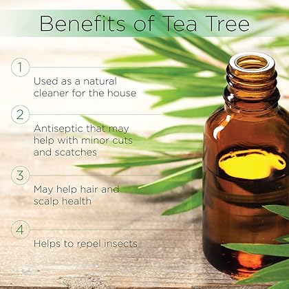 Radha Beauty Tea Tree 120ml - Essential Oil with Natural Premium Melaleuca with Soaps, Shampoo, Body Wash, Aromatherapy and Antifungal Treatment