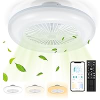Herrselsam Ceiling Fan with Lighting, 80 W Fan Light with Remote Control and App, with Summer/Winter Operation Mode, 6 Speeds, Timer and Dimmable, Diameter 55 cm