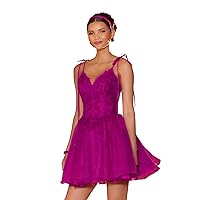 Spaghetti Strap Prom Dress V Neck A-Line Homecoming Dress Sexy Sleeveless Lace Applique Mini Cocktail Dress