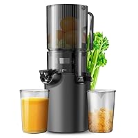 Masticating Juicer, safe and quiet,Slow Cold Press Juicer Machine Juicer Machines with Low Noise for Whole Vegetables and Fruits