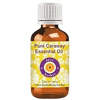 NN Pure Caraway Essential Oil (Carum carvi) Steam Distilled 30ml