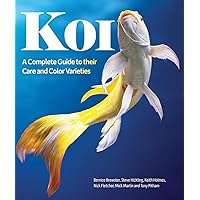 Koi: A Complete Guide to their Care and Color Varieties