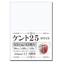 Nagatoya Shoten A3 Luxury Kent Paper (Kent 25), Sketch/Illustration, Manga/Comic Paper, 396.6 lbs (180 kg), White