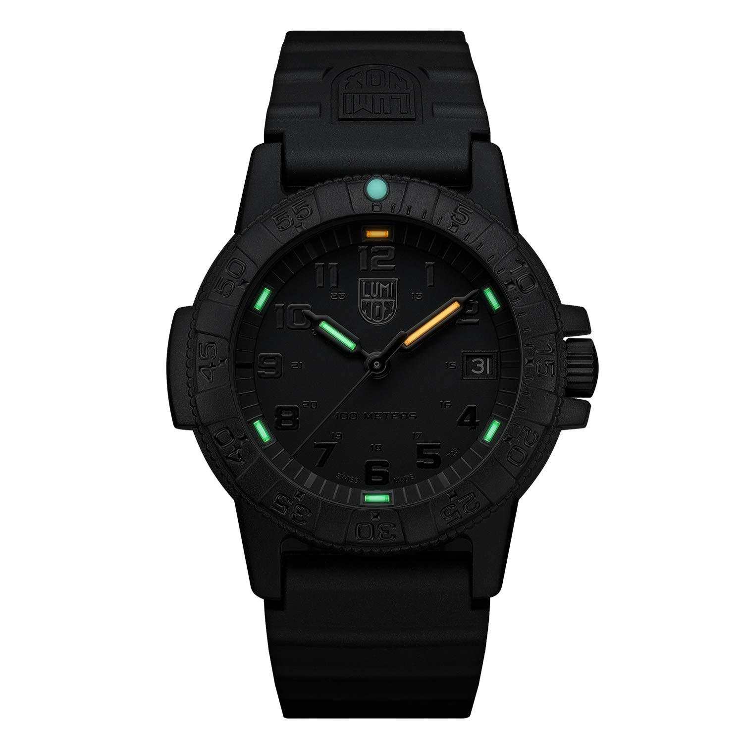 Luminox Men's Year-Round Leatherback Sea Turtle 0300 Series Quartz Watch