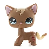 Shorthair Cats Rare Brown Kitty – Little Pet Figure - Blue Eyes Mini Cat - Cute Short Hair Toys for Kids - Girls & Boys - #1170-1pc