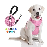 PoyPet No Pull Dog Harness and 5 Feet Leash Set, Release on Neck Reflective Adjustable Pet Vest, Front & Back 2 D-Ring and Soft Padded Pet Harness with Handle for Small to Large Dogs(Pink,S)