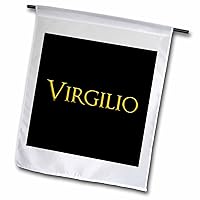 3dRose Virgilio known baby boy name in the USA. Yellow, black charm gift - Flags (fl-376110-1)
