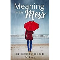 Meaning in the Mess: How to find joy right where you are