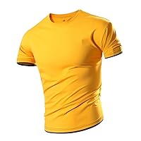 Mens Workout Shirts Short Sleeve Casual Slim Fit Basic T-Shirts Short Sleeve Round Neck Running Gym Tee Shirts