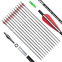 30 Inch Carbon Arrows Practice Targeting Arrows with Removable Tips for Compound and Recurve Bow(Pack of 12)