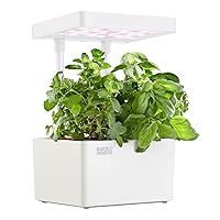 Back to the Roots Hydroponic Grow Kit, Indoor Garden (Matte White), Organic Seeds Included, Gardening Gift, Everything Included