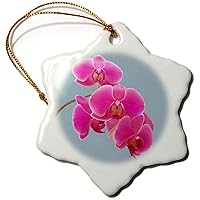 Pink Orchids Photograph in Paint Effect. - Ornaments (orn-293377-1)