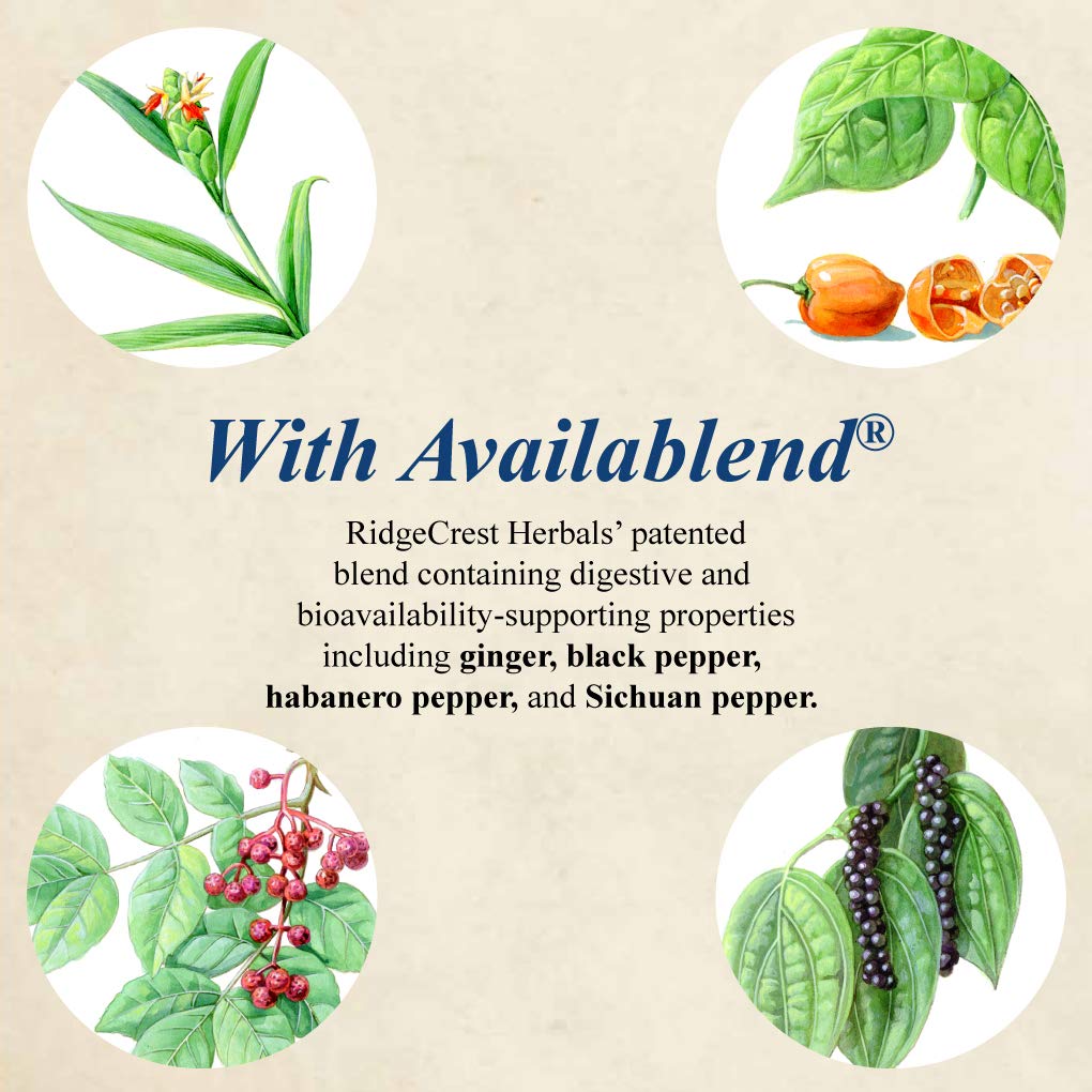 RidgeCrest Herbals ClearLungs Extra Strength, Herbal Decongestant, 120 Vegan Capsules