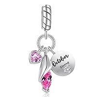12 Teardrop Birthstone Birthday Charm for Pandora Bracelet Gift for Her