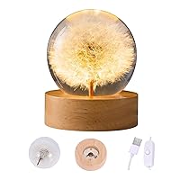 suruim Crystal Dandelion Ball Night Light Genuine Dried Flower in Glass LED Lamp with Wooden Base USB Powered Ideal Dandelion Gifts for All Occasions