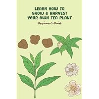 Learn How to Grow & Harvest your own Tea Plant : Beginner's Guide Learn How to Grow & Harvest your own Tea Plant : Beginner's Guide Paperback Kindle