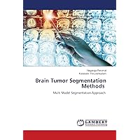 Brain Tumor Segmentation Methods: Multi Model Segmentation Approach