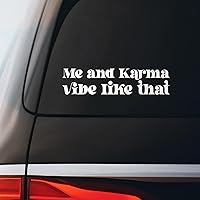 Me and Karma Vibe Like That Swift Lyrics Sticker Decal Notebook Car Laptop 8