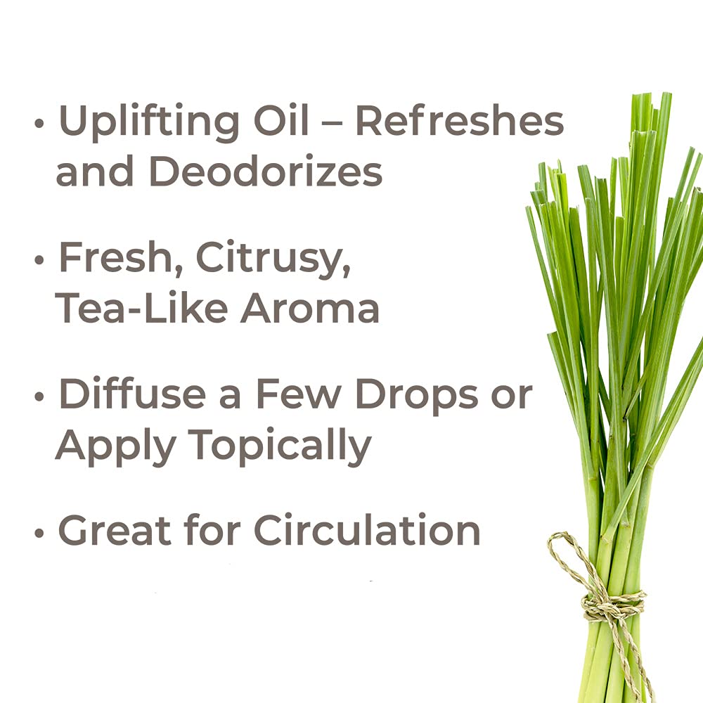 Plant Therapy Lemongrass Essential Oil 100% Pure, Undiluted, Natural Aromatherapy, Therapeutic Grade 30 mL (1 oz)