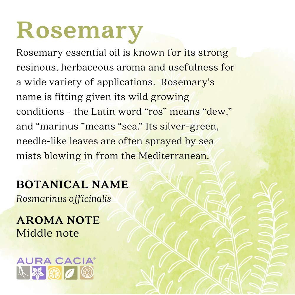 Aura Cacia Essential Oil, Cleansing Rosemary, 2 fluid ounce