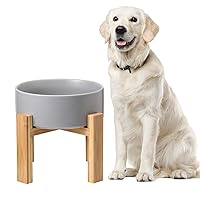 Elevated Dog Bowls for Large Dogs - Ceramic Raised Dog Bowl Stand - Dog Water Bowls and Food Dish - Heavy Weighted or No Tip Over Dog Comfort Food Bowl - Pet Bowl Extra High Capacity 8.4