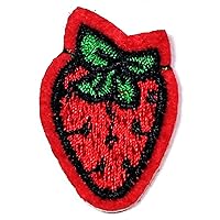 Kleenplus Mini Fruit Picnic Food Patches Sticker Strawberry Fruit Cartoon Embroidery Iron On Fabric Applique DIY Sewing Craft Repair Decorative Sign Symbol Costume