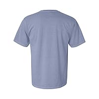 Comfort Colors Adult Short Sleeve Tee, Style G1717