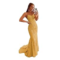Laces Mermaid Prom Dresses Spaghetti Straps Backless Tulle Formal Evening Party Gown with Train ZX10