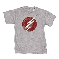 DC Comics Flash TV II Symbol Mens Grey T-Shirt | S