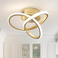 AMZASA Modern LED Ceiling Light Fixtures Gold Semi Flush Mount Ceiling Lamp Hallway Lights for Bedroom Bathroom Entryway Closet Balcony Stair Laundry Room Curved Design