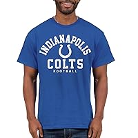 Clothing x NFL - Classic Team Logo - Short Sleeve Fan Shirt for Men and Women - Officially Licensed NFL Apparel