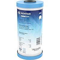 Pentair OMNIFilter CB6 Carbon Water Filter, 10