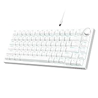 Ajazz AK820 Mechanical Keyboard with with CNC Knob Control,75% Gasket Mount Keyboard and Detachable USB Wired Gaming Keyboard for Wind/Mac,Blue Light,NKRO,Blue Clicky Switch(White)